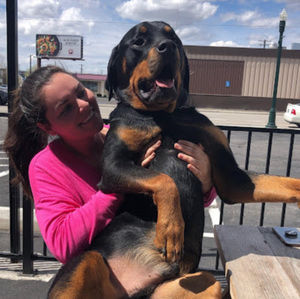 Meet your Posher, Sarah